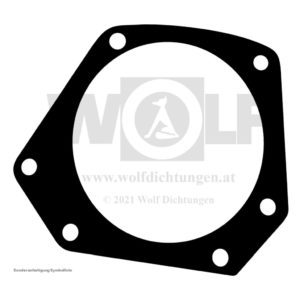 Wasserpumpendichtung klein für MAN | E 3000