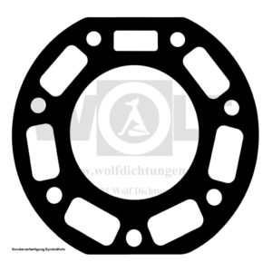 Zylinderkopfdichtung für Maiko | GS | 320