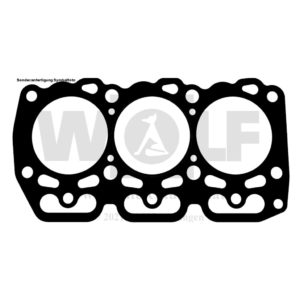 Zylinderkopfdichtung für Massey Ferguson | 1020