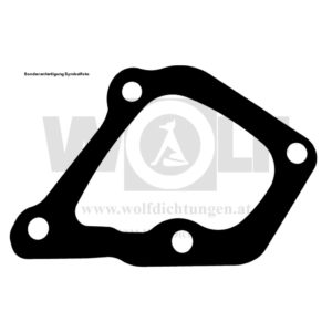Thermostatgehäusedichtung für Maybach | HL | 42