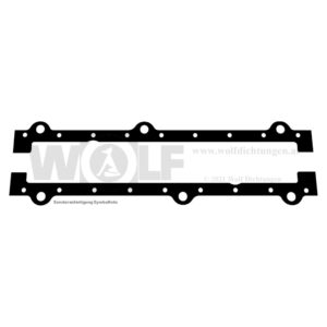 Ölwannendichtungen für MAN | 451