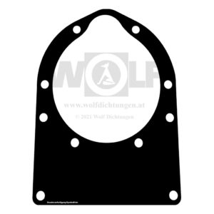 Einspritzpumpendichtung für MAN | 451