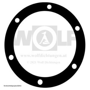 Kurbelwellendichtung vorne für MAN | 451