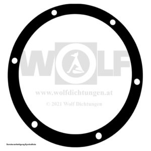 Kurbelwellendichtung hinten für MAN | 451