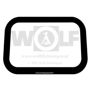 Seitendeckeldichtung für MAN | 451