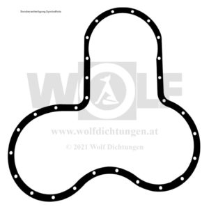 Stirndeckeldichtung für MAN | 451