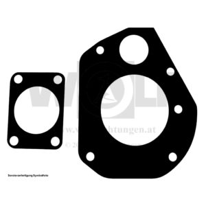 Wasserpumpendichtungen im Set für MAN | 451