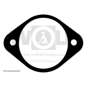 Wasserpumpen-Flanschdichtung für MAN | 451