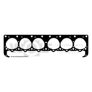 Zylinderkopfdichtung für Nash | Hedley