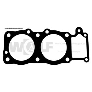Zylinderkopfdichtung für NSU | Prinz 1