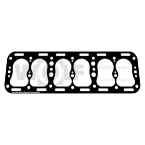 Zylinderkopfdichtung für OM | 665 | MMSS