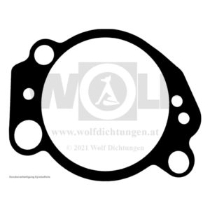 Vergaserdichtung für OBA | LIC | 22