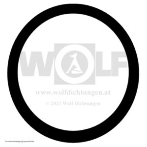 Ring zu Seitendeckeldichtung für Opel | Blitz