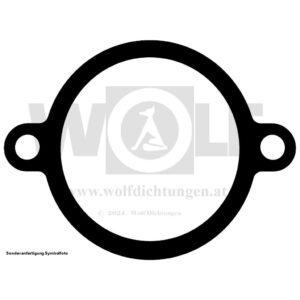 Nebenwellenlager-Deckeldichtung hinten für Peugeot | BP 1 | Bebe