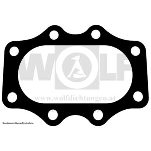 Zylinderkopfdichtung für Puch | 500