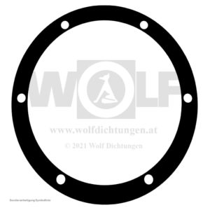 Dichtung für PGS