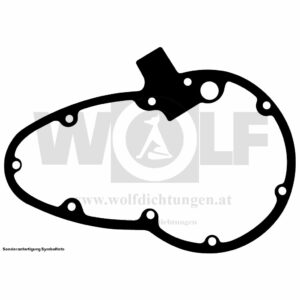 Steuerdeckeldichtung für Rudge | Modell 44