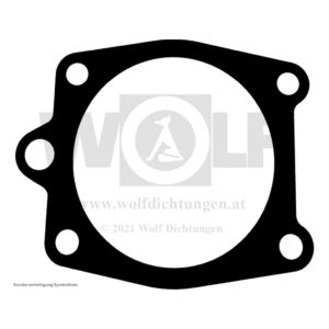 Zylinderkopfdichtung für Renault | 1 - 30