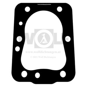 Zylinderkopfdichtung für Renault | Marine