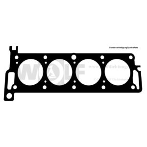 Zylinderkopfdichtung für Renault | 17