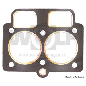 Zylinderkopfdichtung für Renault | Couach | RC 16 D