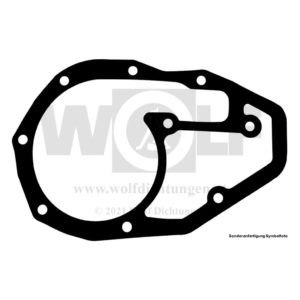 Wasserpumpendichtung für Renault | 8