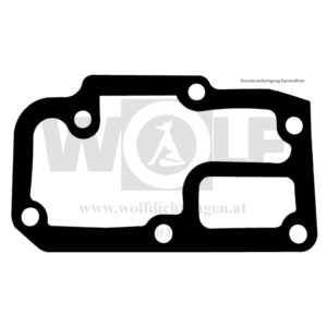 Wasserpumpendichtung für Renault | 8