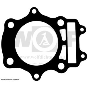 Zylinderkopfdichtung für Suzuki | DR 350