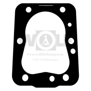 Zylinderkopfdichtung für Renault | Couach | RC 6