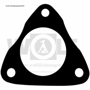 Dichtung für Riley | Special