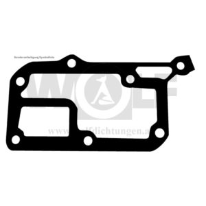 Dichtung für Wasserpumpe mit Öffnung für Renault | 5