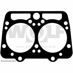 Zylinderkopfdichtung für Schlüter | 2000 TVL | Special | SF 8106 FS | SDMT 112 | W 8