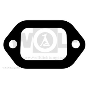 Auspuff-Flanschdichtung für Spyker | C 4