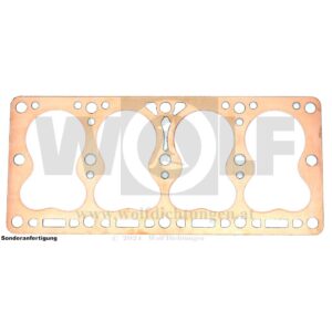 Zylinderkopfdichtung für Steyr | 100
