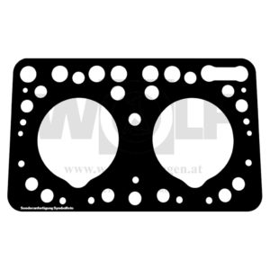 Zylinderkopfdichtung für Skoda | 30