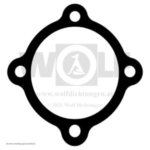 Zylinderkopfdichtung für Schüttoff | F 350