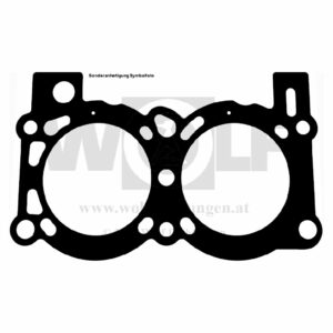 Zylinderkopfdichtung für Ford | V 4 | 1700