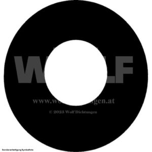 Scheibendichtungen im Set für Studebaker | President | Eight