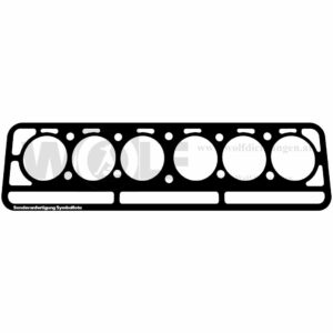 Zylinderkopfdichtung für Steyr | 220 - Variante 2