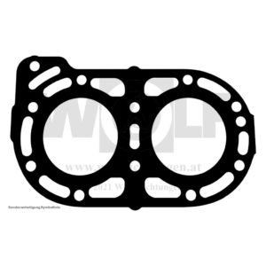 Zylinderkopfdichtung für Suzuki | DT 25