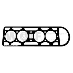 Zylinderkopfdichtung für Salmson