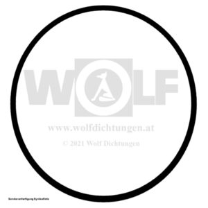 Dichtring für Skoda | 1201 | SW 58