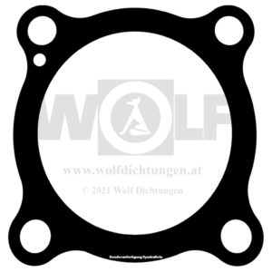 Zylinderkopfdichtung für Stihl | 496