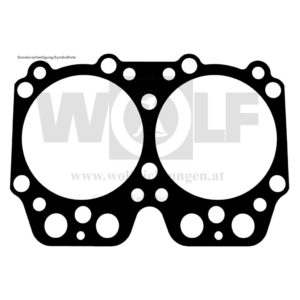Zylinderkopfdichtung für Saurer