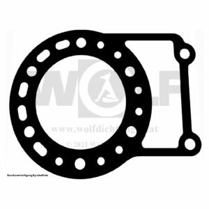 Zylinderkopfdichtung für Suzuki | TS 250 X