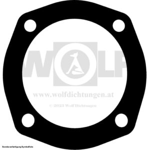 Zylinderkopfdichtung für Saroléa | Super Sport
