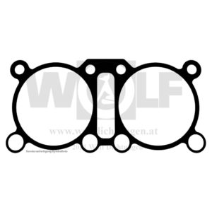 Zylinderkopfdichtung für Triumph | Thruxton