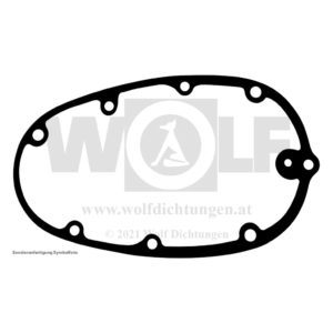 Getriebekastendeckeldichtung für Triumph | TRW | 500