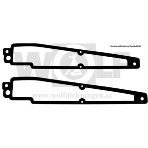 Ansaugkrümmerdichtungen im Set für VW | Phaeton | W 12 | BAN