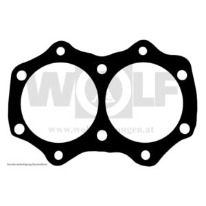 Zylinderkopfdichtung für Weslake | 750